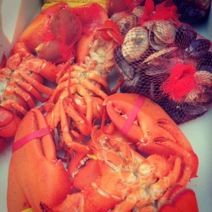 Our Lobster Bake - prepared by Hallowell Seafood & Produce.. thanks Justin!
